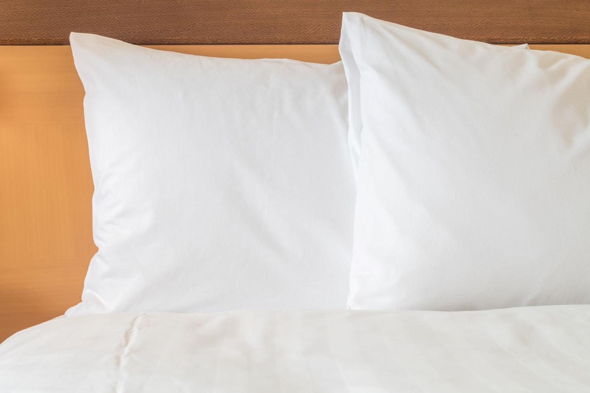 Holiday Inn Express - Bowling Green By Ihg Екстериор снимка